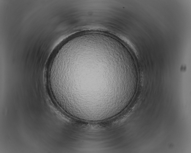 X0000090440983200708031150