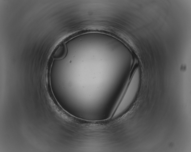 X0000090440984200708031150