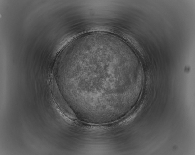 X0000090440985200708031149