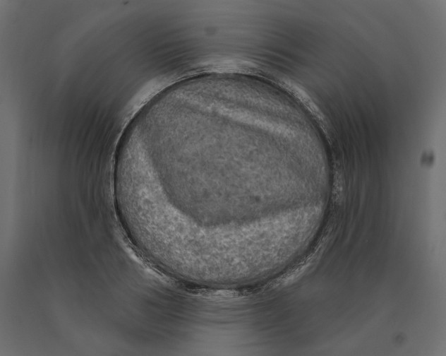 X0000090440986200708031149