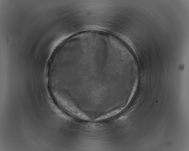 X0000090440987200708031149