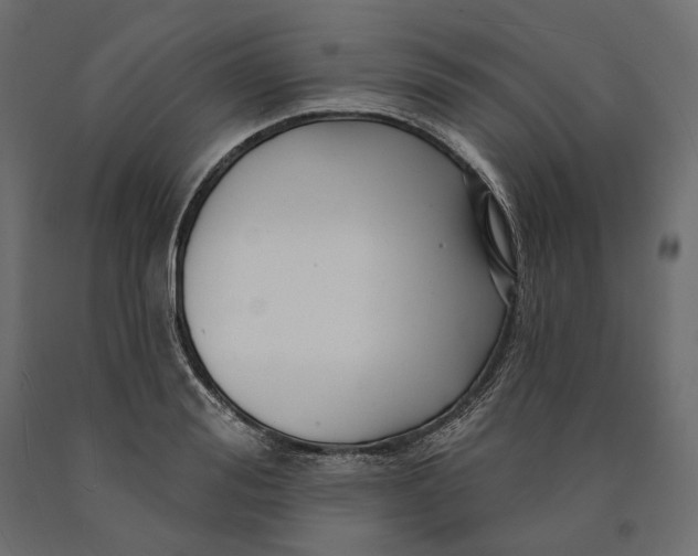 X0000090440988200708031149