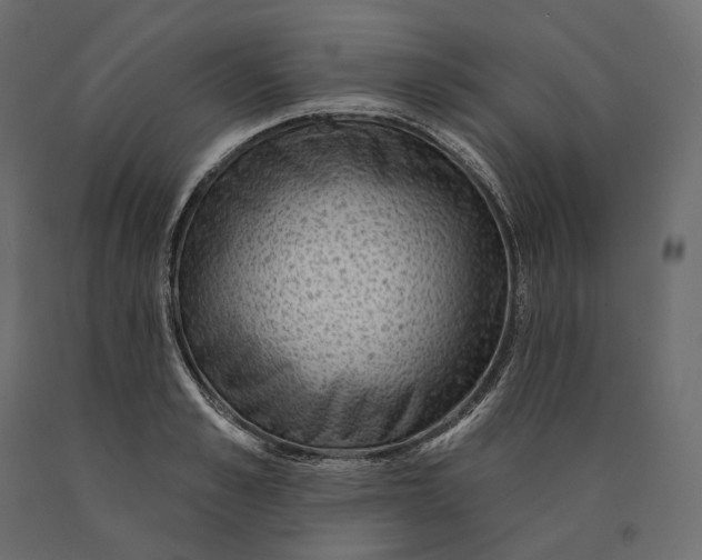 X0000090440989200708031149