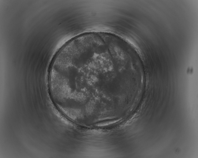 X0000090440990200708031149