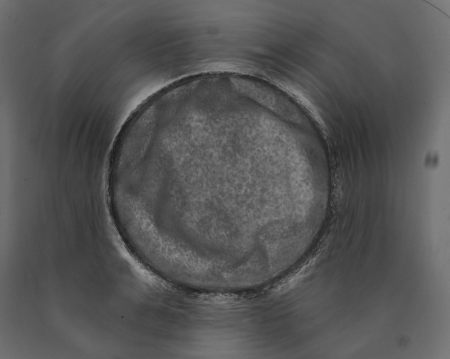 X0000090440991200708031149