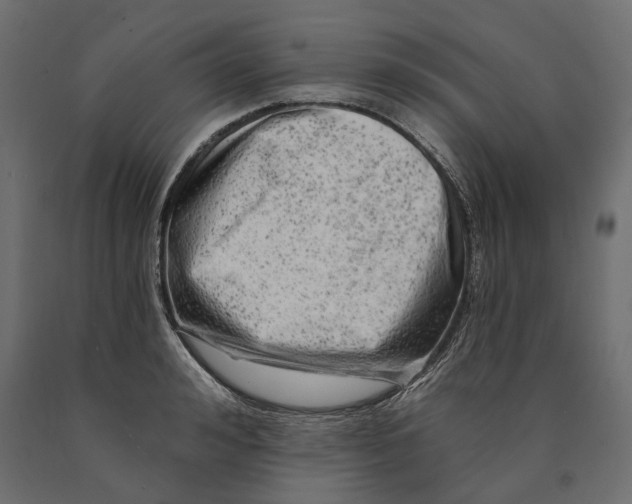 X0000090440992200708031149