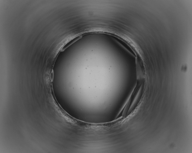 X0000090440993200708031149