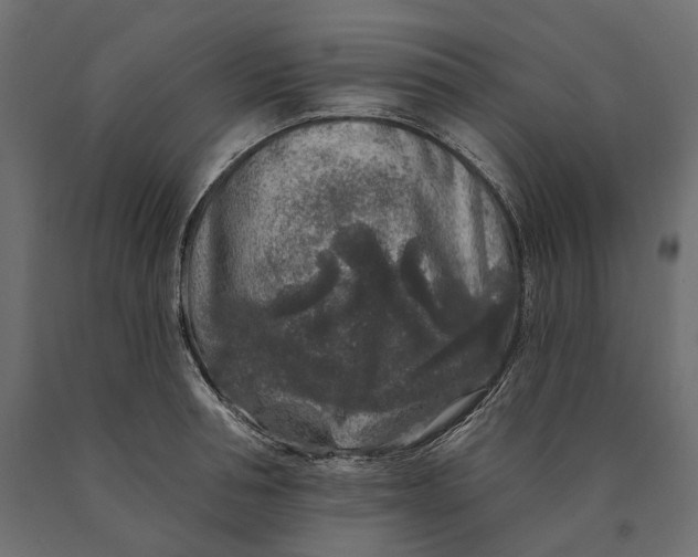 X0000090440994200708031149