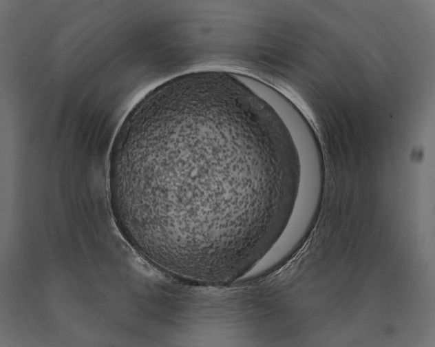 X0000090440996200708031149