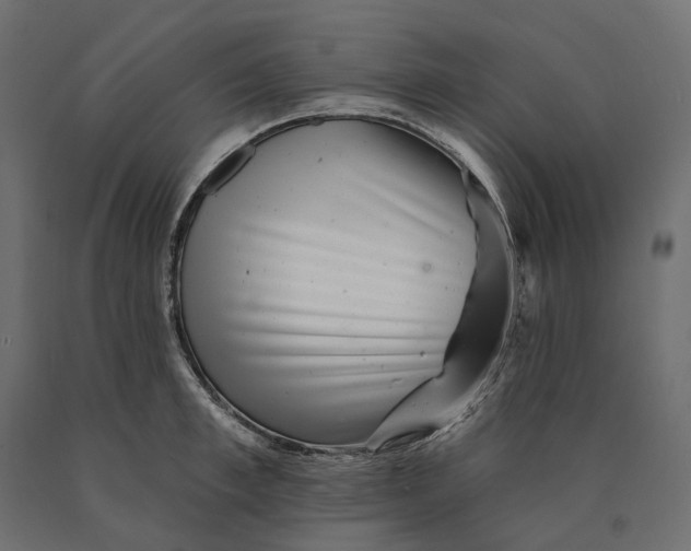 X0000090440997200708031149