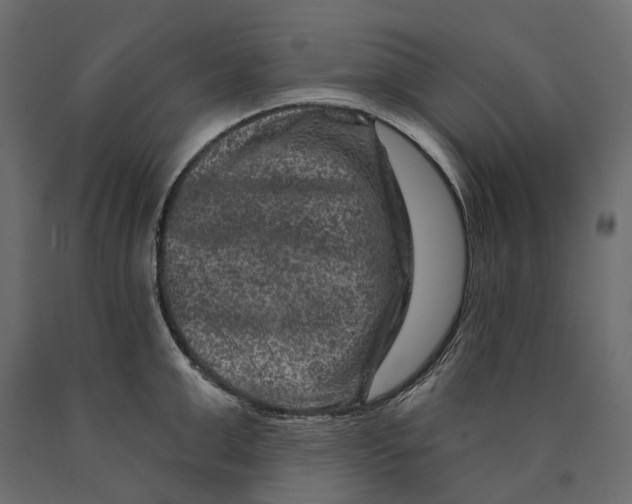 X0000090440999200708031149