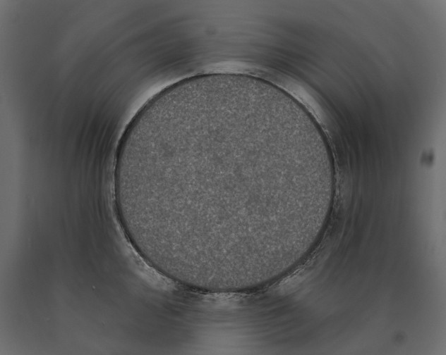 X0000090441000200708031149