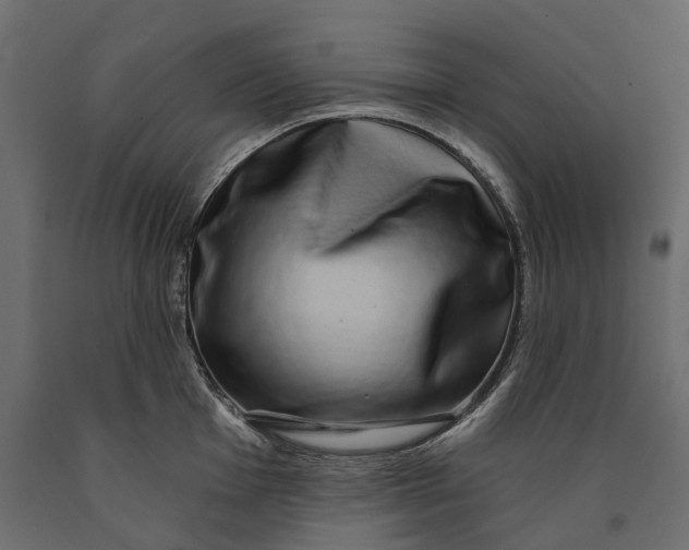 X0000090441001200708031149