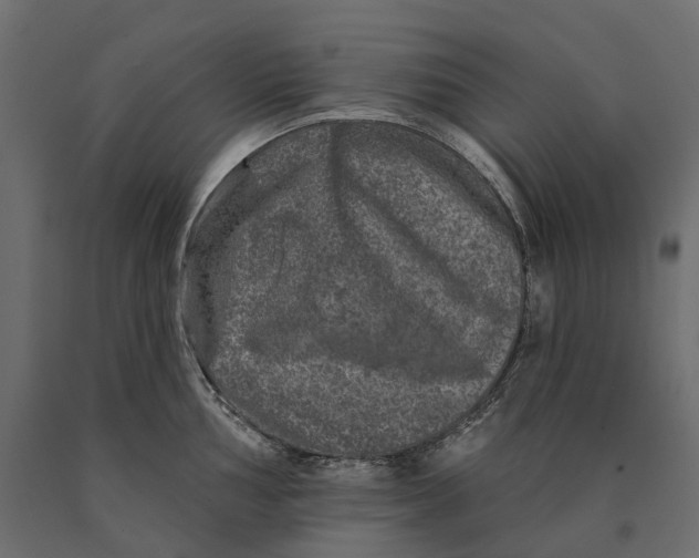 X0000090441002200708031149