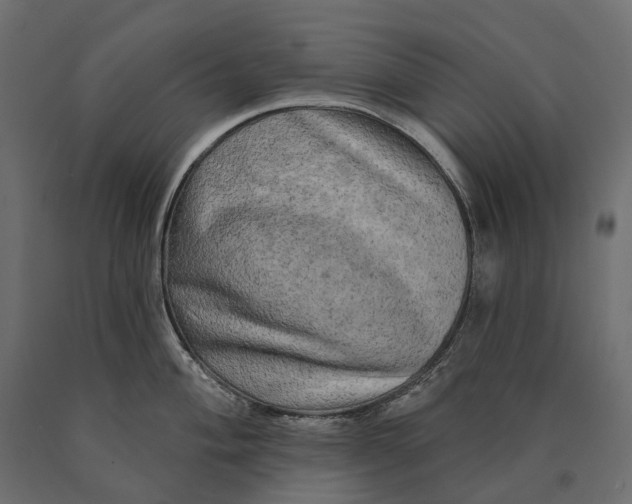 X0000090441004200708031149