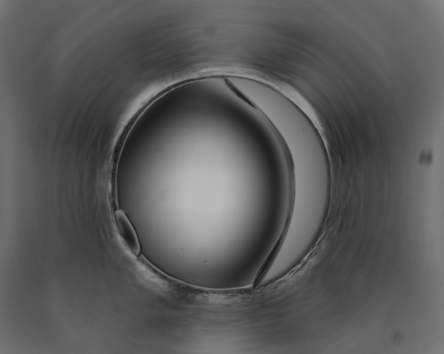 X0000090441005200708031149