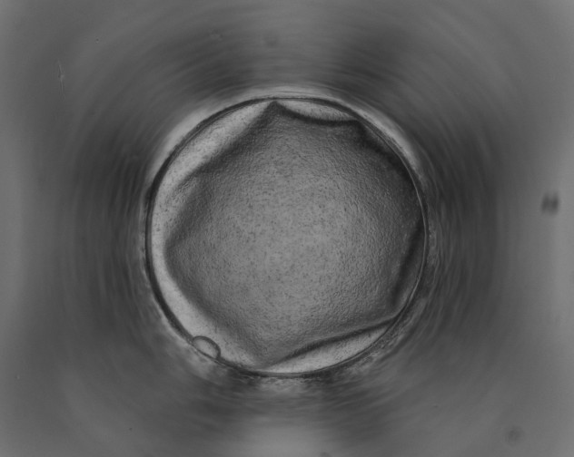 X0000090441006200708031149