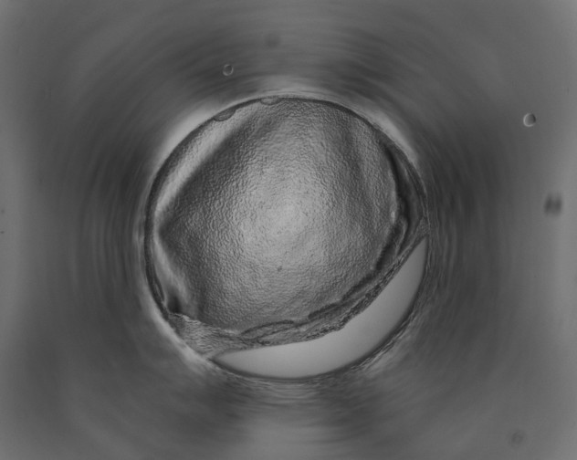 X0000090441007200708031149