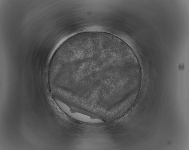 X0000090441008200708031149