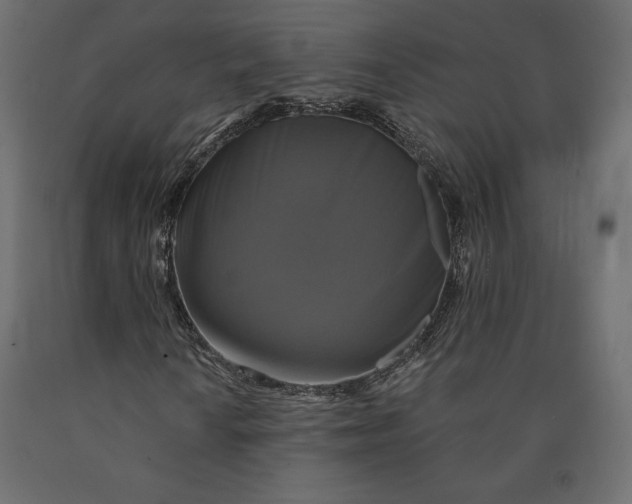 X0000090441010200708031148