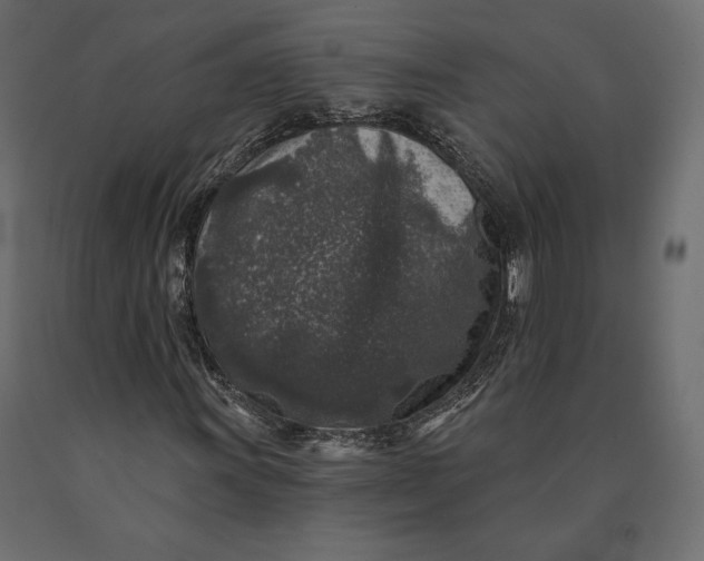 X0000090441011200708031148