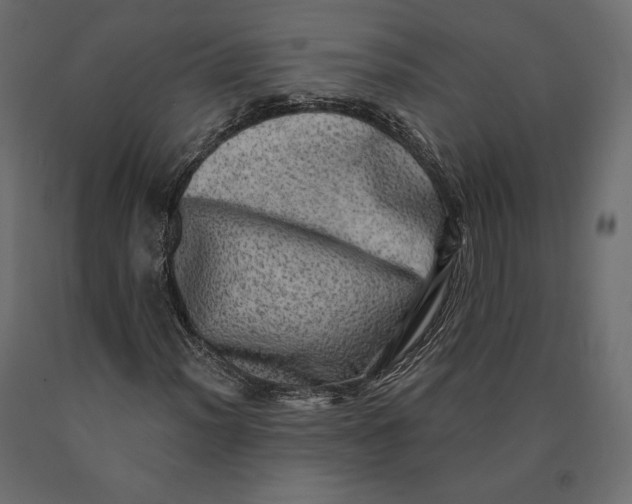 X0000090441012200708031148