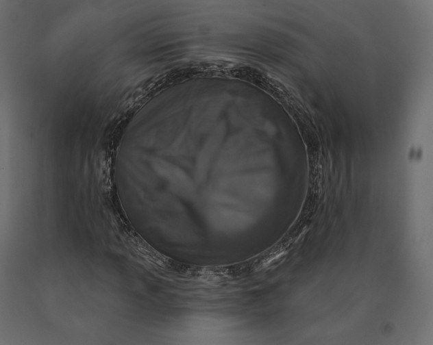 X0000090441013200708031148