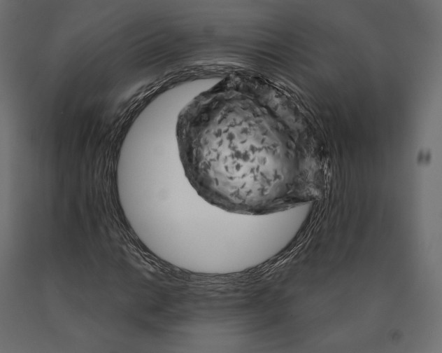 X0000090441014200708031148