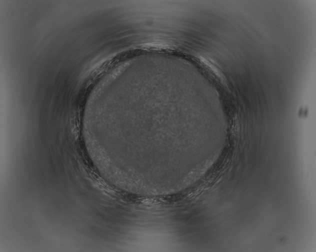 X0000090441015200708031148