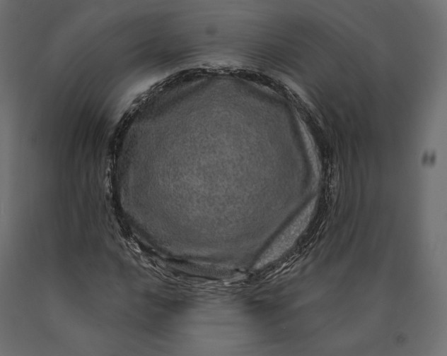 X0000090441016200708031148