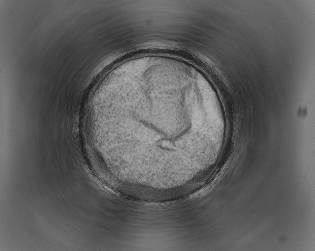 X0000090441017200708031148