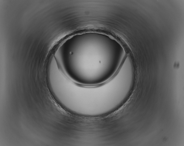 X0000090441018200708031148