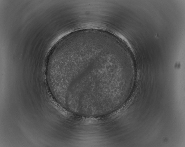 X0000090441019200708031148