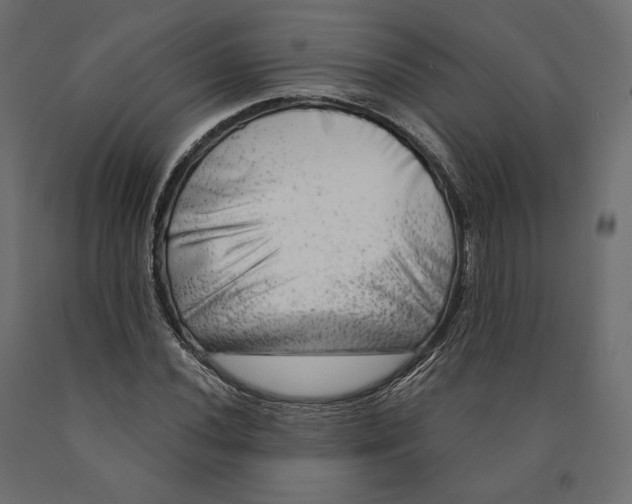 X0000090441020200708031148