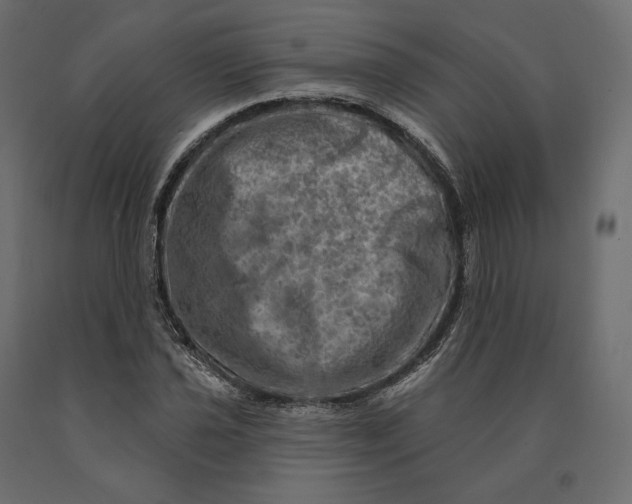 X0000090441021200708031148