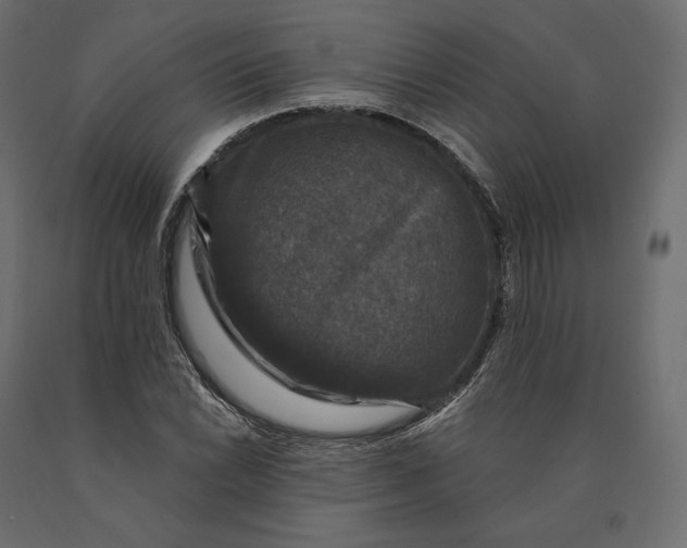 X0000090441022200708031148