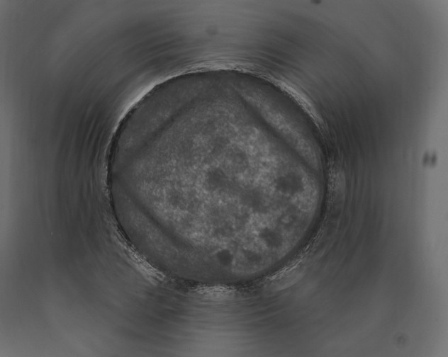 X0000090441023200708031148