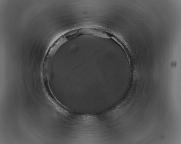 X0000090441024200708031148