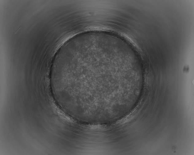 X0000090441025200708031148