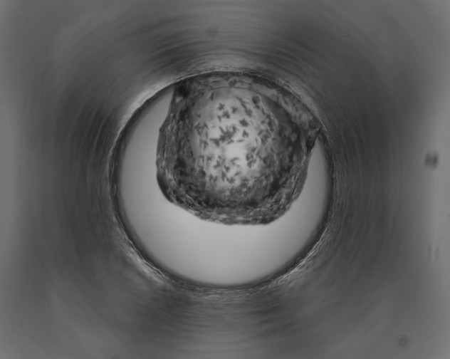 X0000090441026200708031149