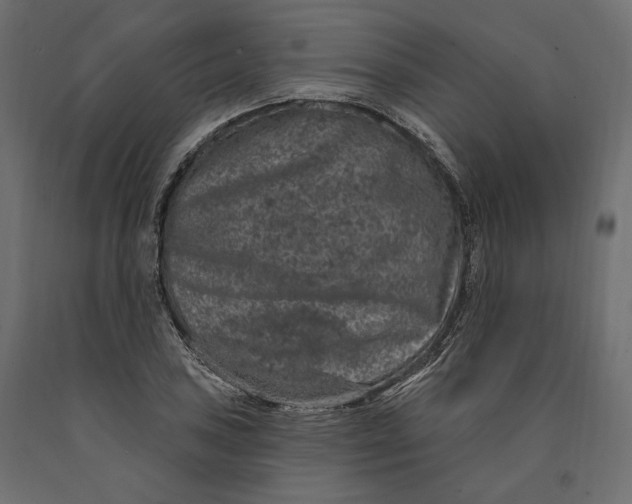 X0000090441027200708031149