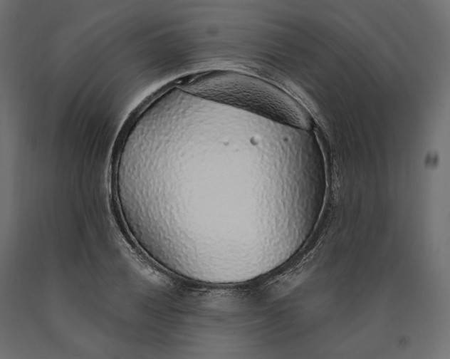 X0000090441028200708031149