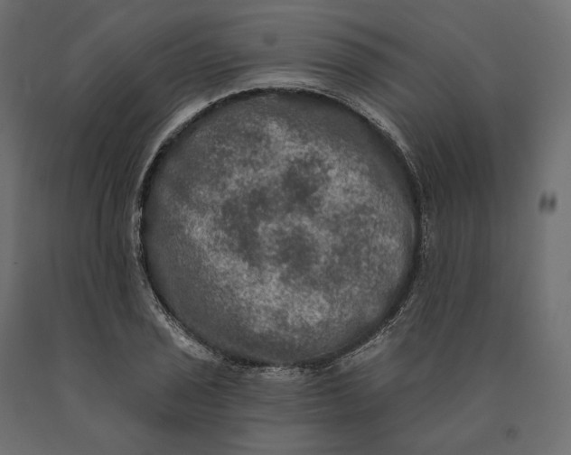 X0000090441029200708031149