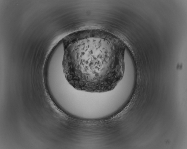 X0000090441030200708031149