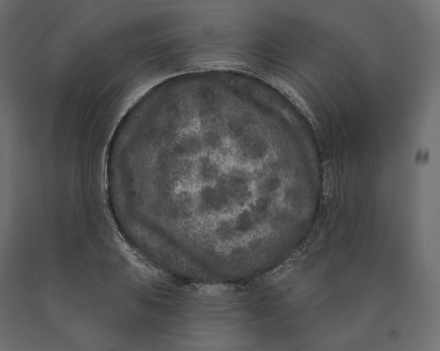 X0000090441031200708031149