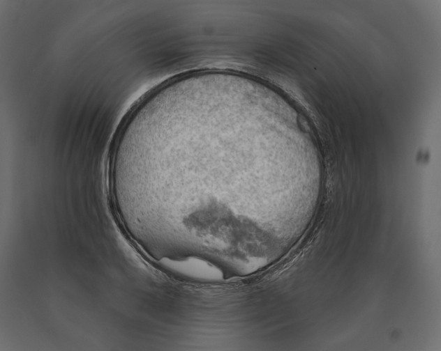 X0000090441032200708031149