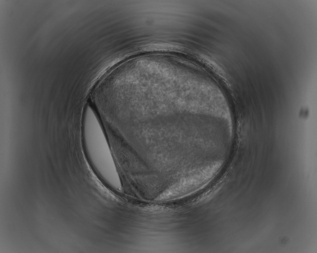 X0000090441033200708031149