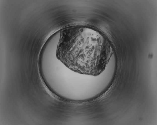 X0000090441034200708031149