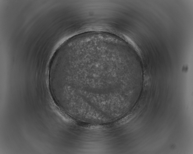 X0000090441035200708031149