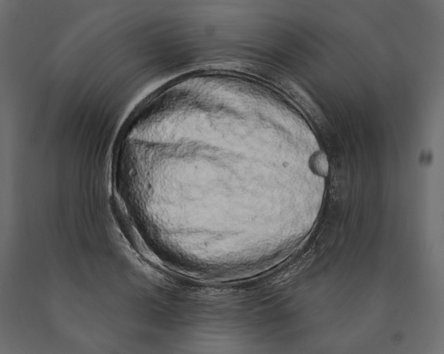 X0000090441036200708031149